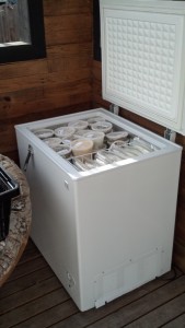 And the end result is a very full freezer that sits on the patio of my tiny house, just in reach for convenience! 
